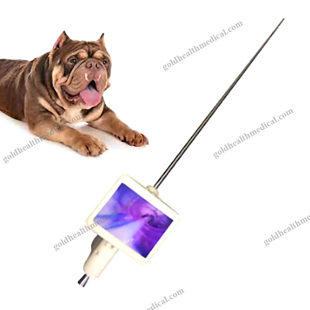 Digital Dog AI Kit Equipment