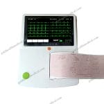 Portable ECG Machine with Touch Screen 3612