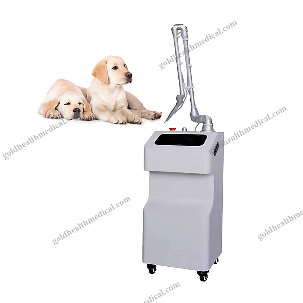 Veterinary CO2 Laser Surgery System for Pet Oral Skin Ophthalm