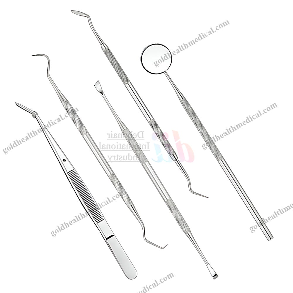 Professional 5Pcs Stainless Steel Dental Hygiene Kit