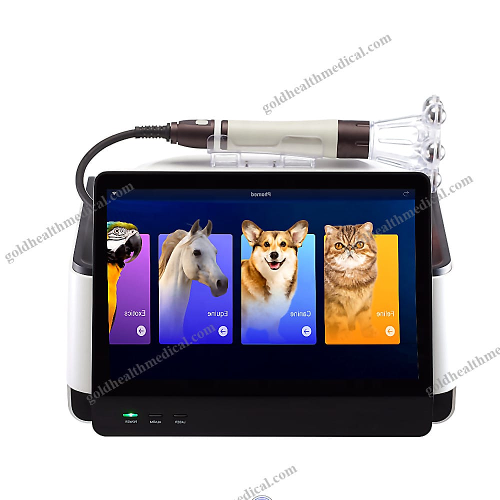 980nm 60W Class IV Veterinary Laser Equipment for Phys