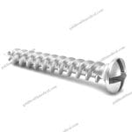 Orthopedic Locking Bone Screw Mini Implant