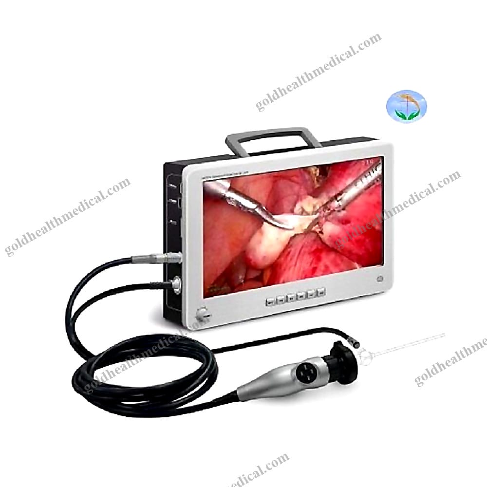 Brand Portable Endoscope Camera System with 22 Screen for ENT
