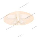 PICCCVC Catheter Fixation Device