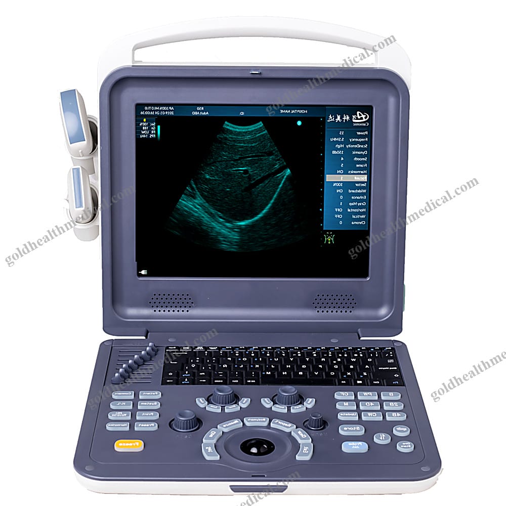 Portable 15 Physiotherapy Ultrasound with Color Doppler for