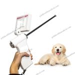 AIVisible Dog Insemination Instrument