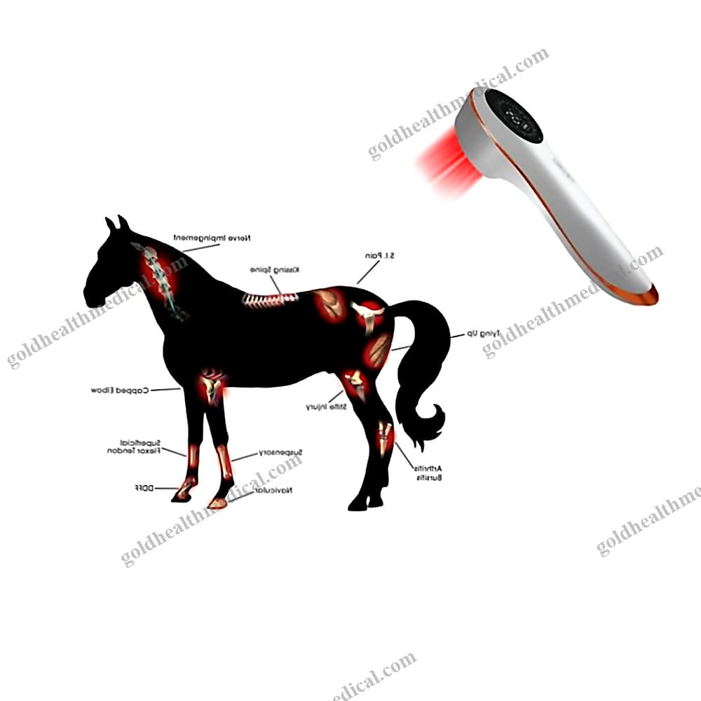 Class 3B 4 Equine Cold Laser Therapy for Veterinary Use