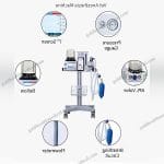 DM6C Veterinary Anesthesia Machine for Hospital Mobile Equipment Animal Pet Use