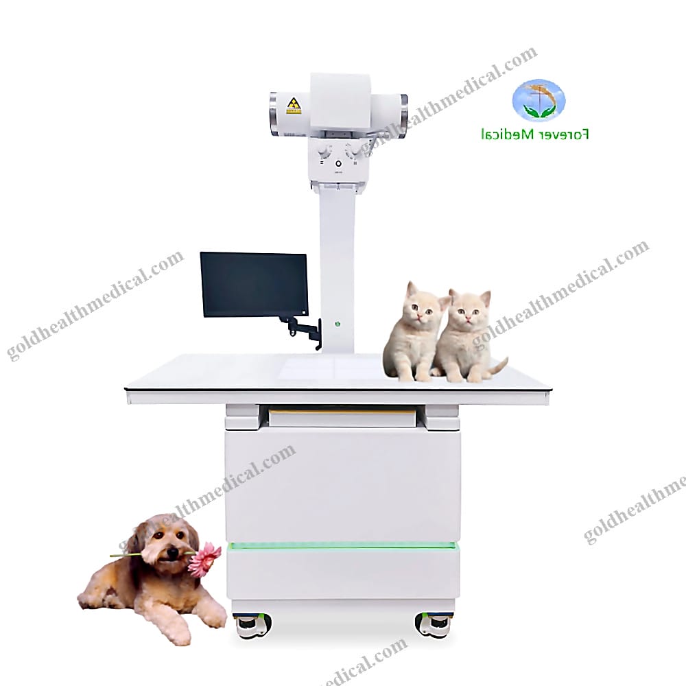 Vet System 32kw Digital XRay Machine for Animals