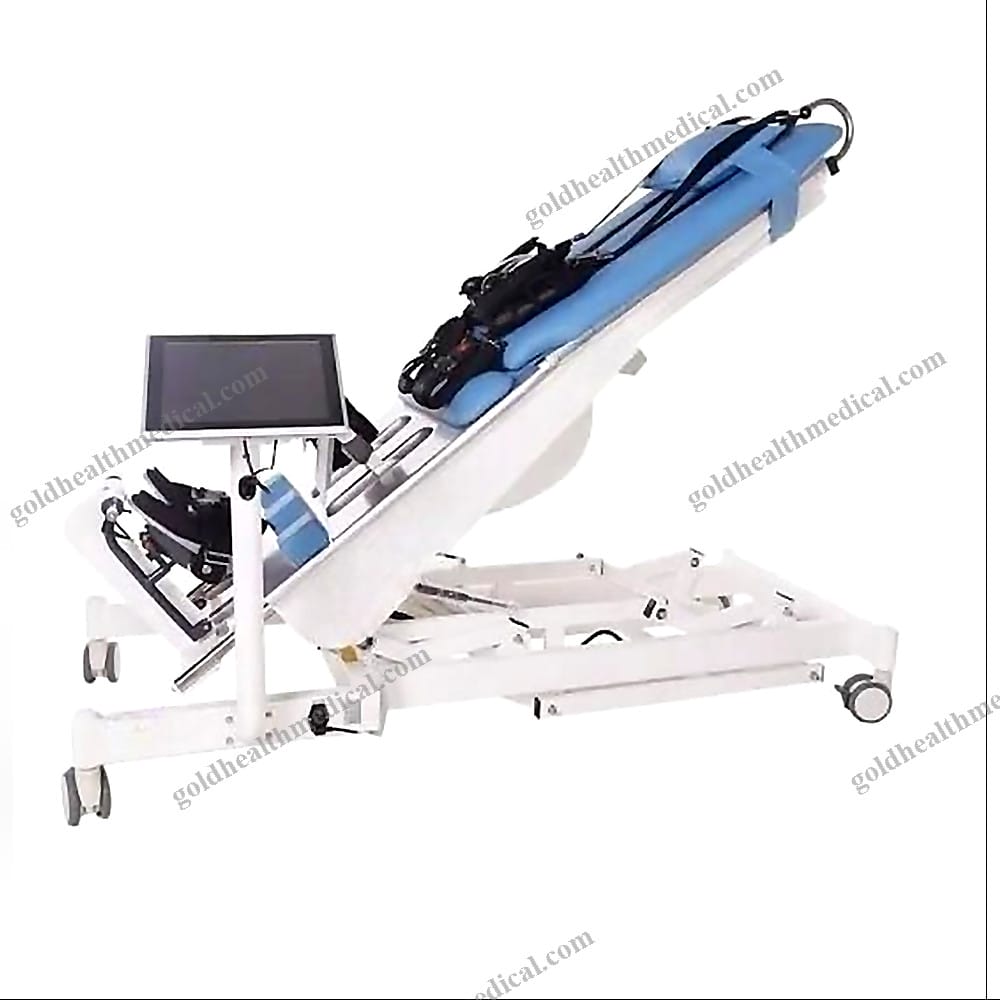Lower Limb Gait Training System with Active  Passive Functions
