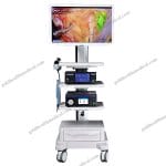 Portable ENT Endoscopic Camera System for Surgery