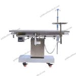 Stainless Steel Veterinary Examination Table for Pet Hospitals