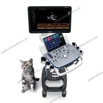 Mindray Vetus 5 Exp Veterinary Ultrasound System with Color Doppler
