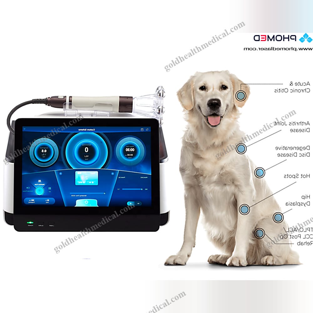 Class IV 980nm 60W Veterinary Laser Equipment for