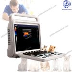 Advanced 3D4D Portable Veterinary Ultrasound Machine for Pregnancy Diagnosis