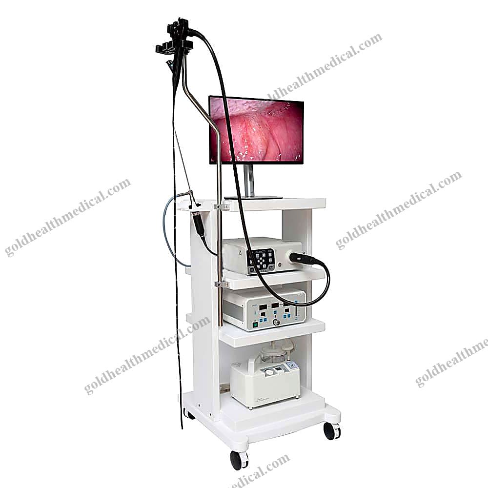 Veterinary Endoscope System Pro Plus