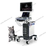 Mindray Vetus 7 Veterinary Ultrasound System with 3D