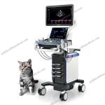 Vetus 7 Vet Mindray Ultrasound System with 4 Smart Trans