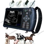 Sonoscape V9 Portable Veterinary Ultrasound System