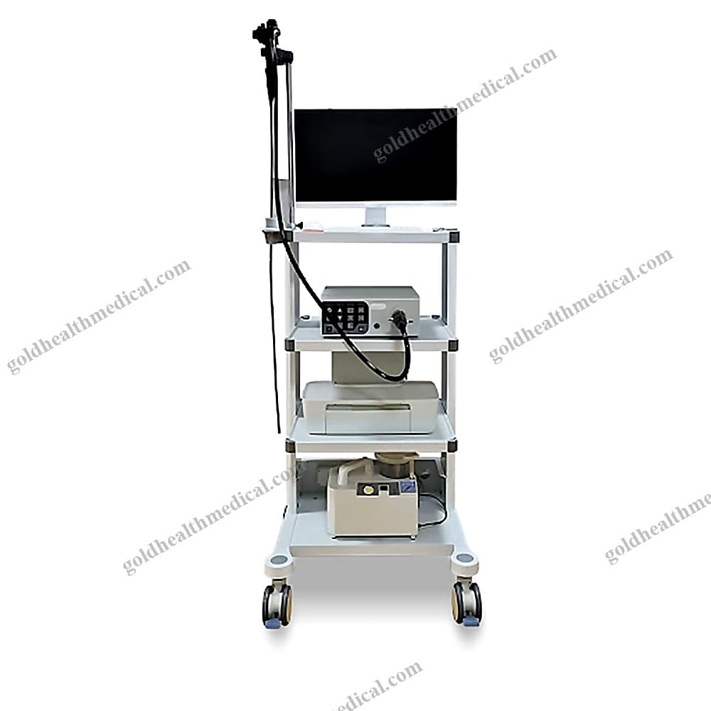 Veterinary Endoscope for Animal Clinics and Pet Care Facilities