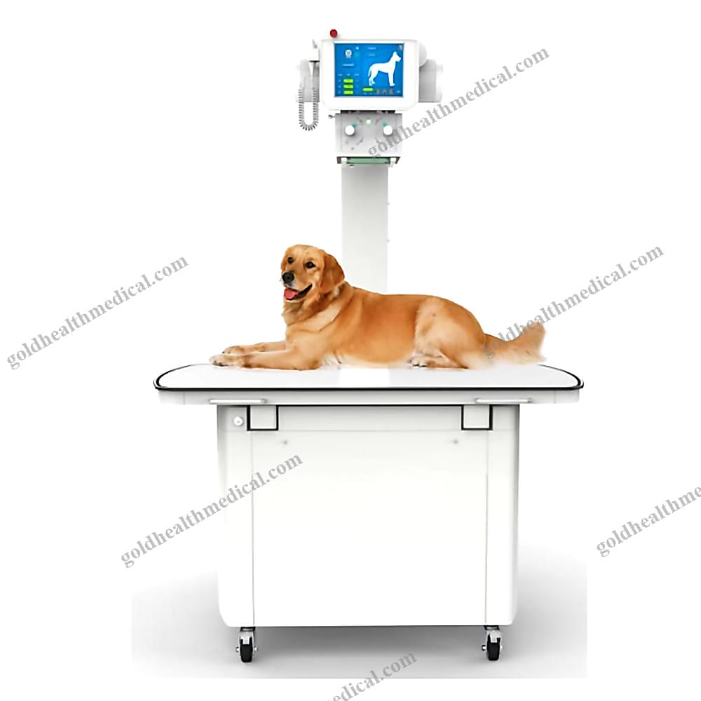 SD32DR Veterinary XRay Machine 400mA High Frequency