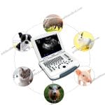 Portable Veterinary Ultrasound Scanner for Pets  Livestock