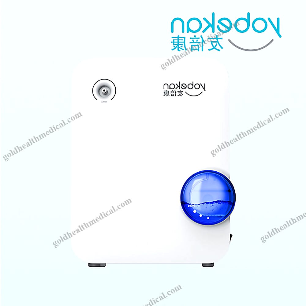 1L 220V HighPurity Portable Oxygen Concentrator
