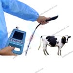 Portable Wireless Veterinary Ultrasound System for Animal Pregnancy Detection