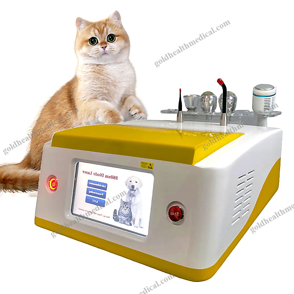Class 4 Veterinary Laser Therapy Machine for Animals