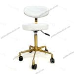 Anteeth Medical Pro Stool Chair