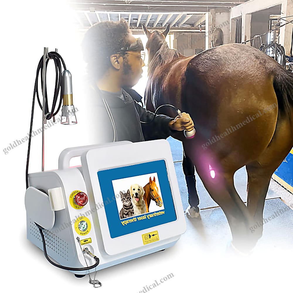 2024 Class 4 HighPower Veterinary Laser Therapy System for