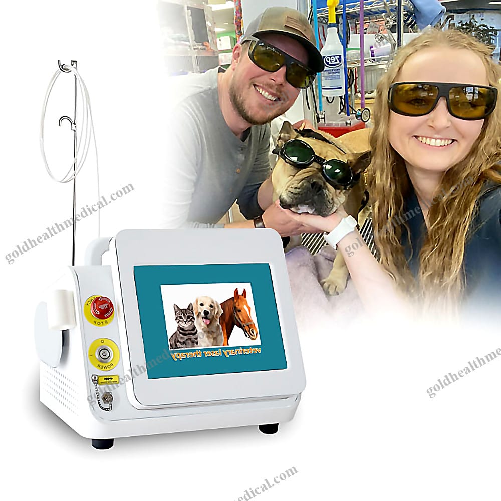 Class IV Veterinary Laser Therapy Equipment for Pain Relief