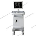 Full Digital Ultrasound Diagnostic SystemPortable 15 LED 0