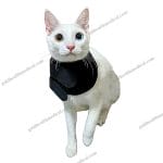 CE Cat Light Therapy Wrap for Pets