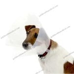 ECollar Pro Transparent Plastic AntiBiteLick Elizabethan Coll