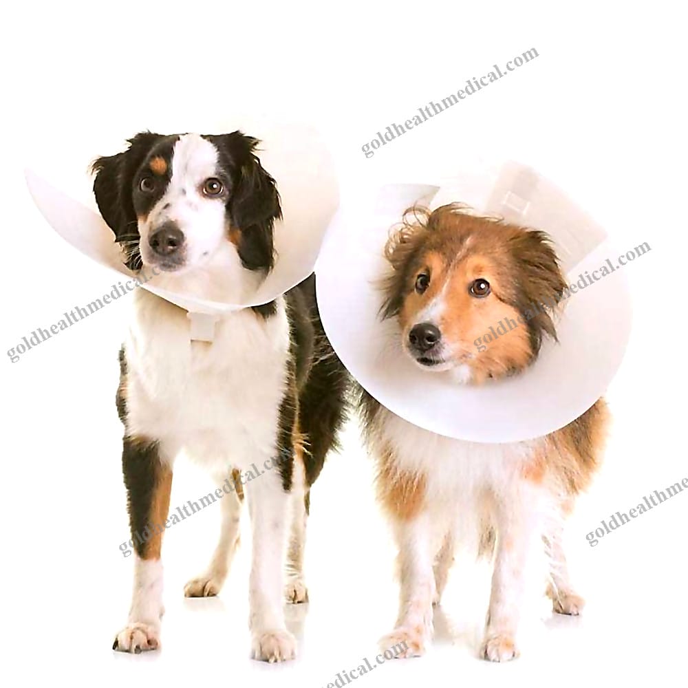 Elizabeth Pet Collar with Light Feature