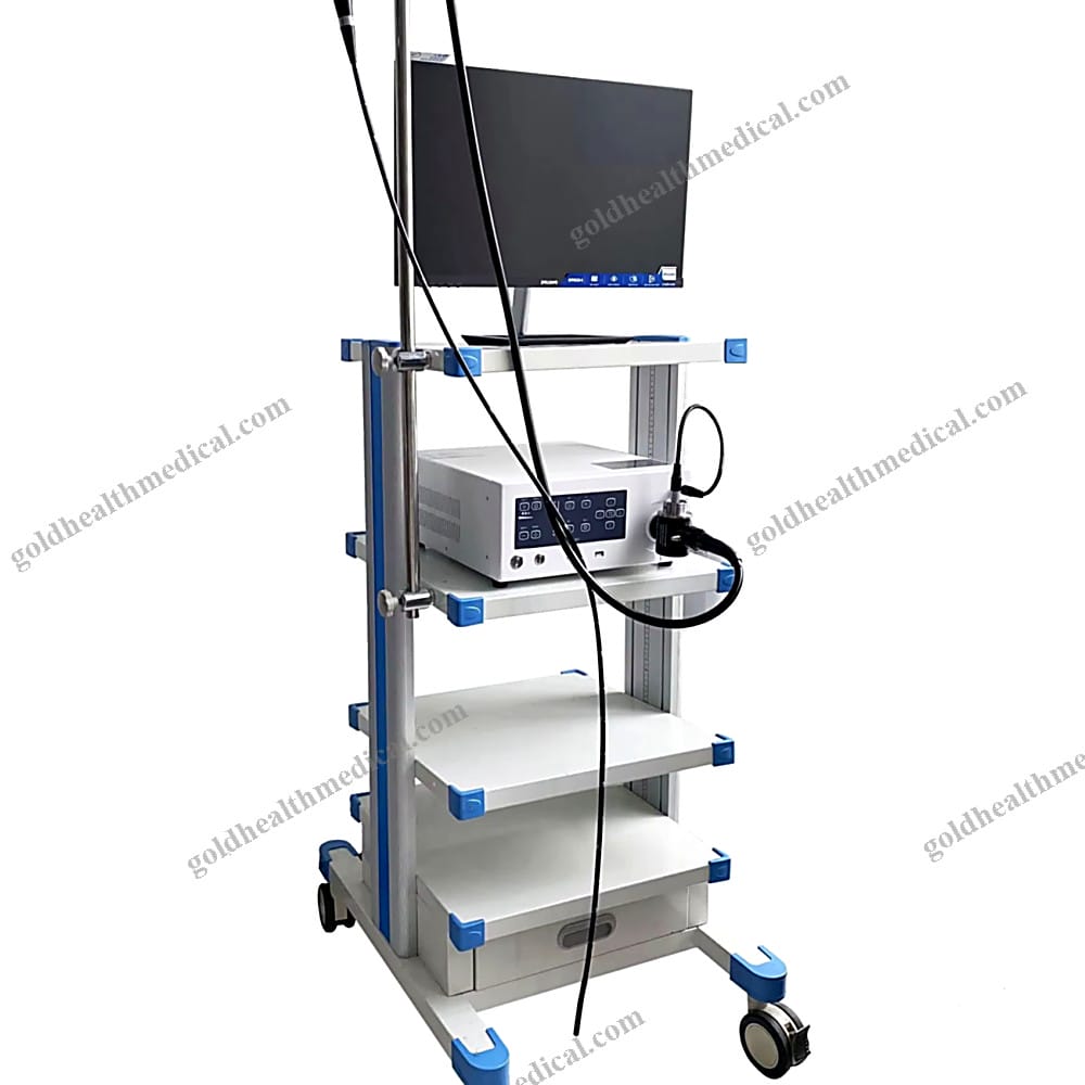 Integrated Veterinary Endoscopy System HighResolution Pet Camera Endoscope Solution