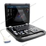 Compact Ultrasound System with Linear Convex Phased Array Probes