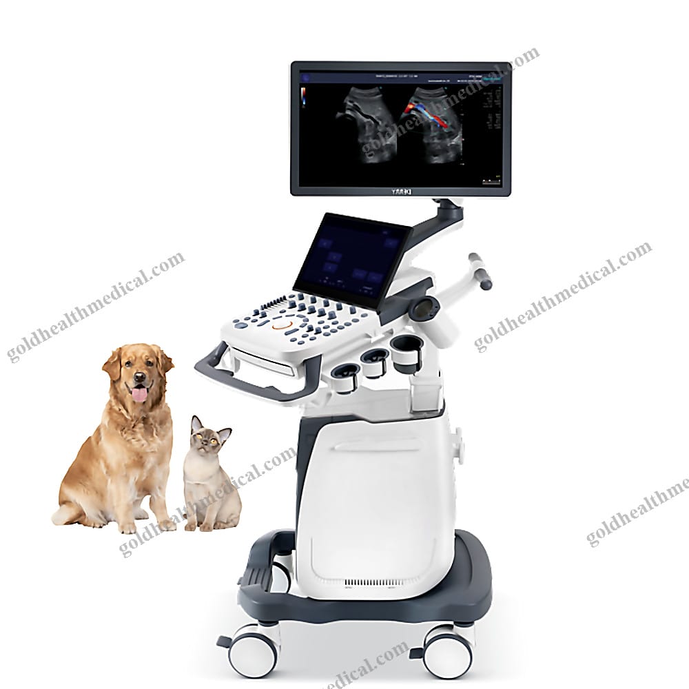 Derry Veterinary Color Doppler Ultrasound Machine