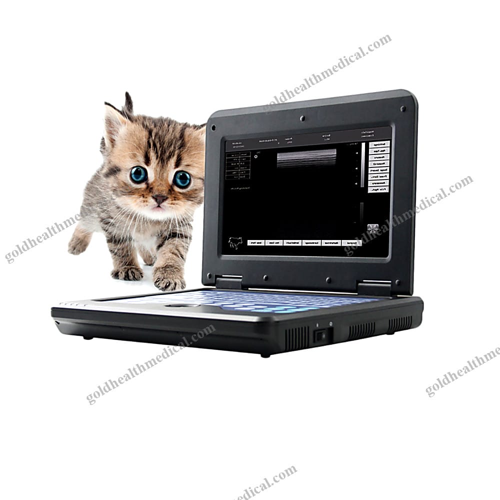 CONTEC CMS600P2VET Small Animal Ultrasound