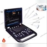 Portable 3D Color Doppler Ultrasound System