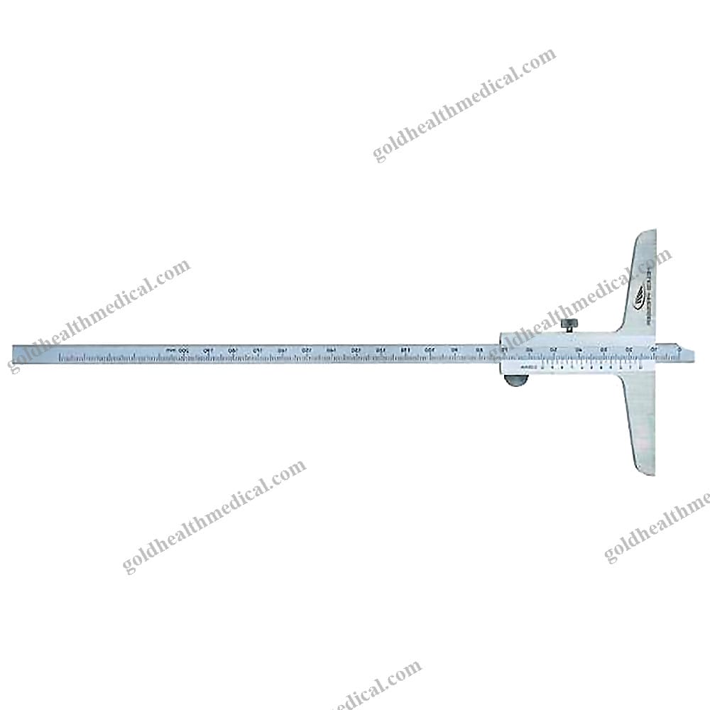1601366151217_1 HELIOS PREISSER Precision Stainless Steel Vernier Depth Gauges - Image 1