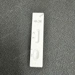 Babesia Canis Antibody Rapid Test IVD Reagents