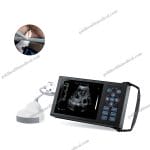 M10 Mechanical Sector Probe Ultrasound Scanner for Veterinary Pregnancy Detection in Sheep