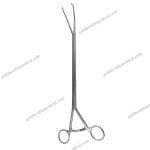 Vats Allis Forceps Curved Left Surgical Instruments