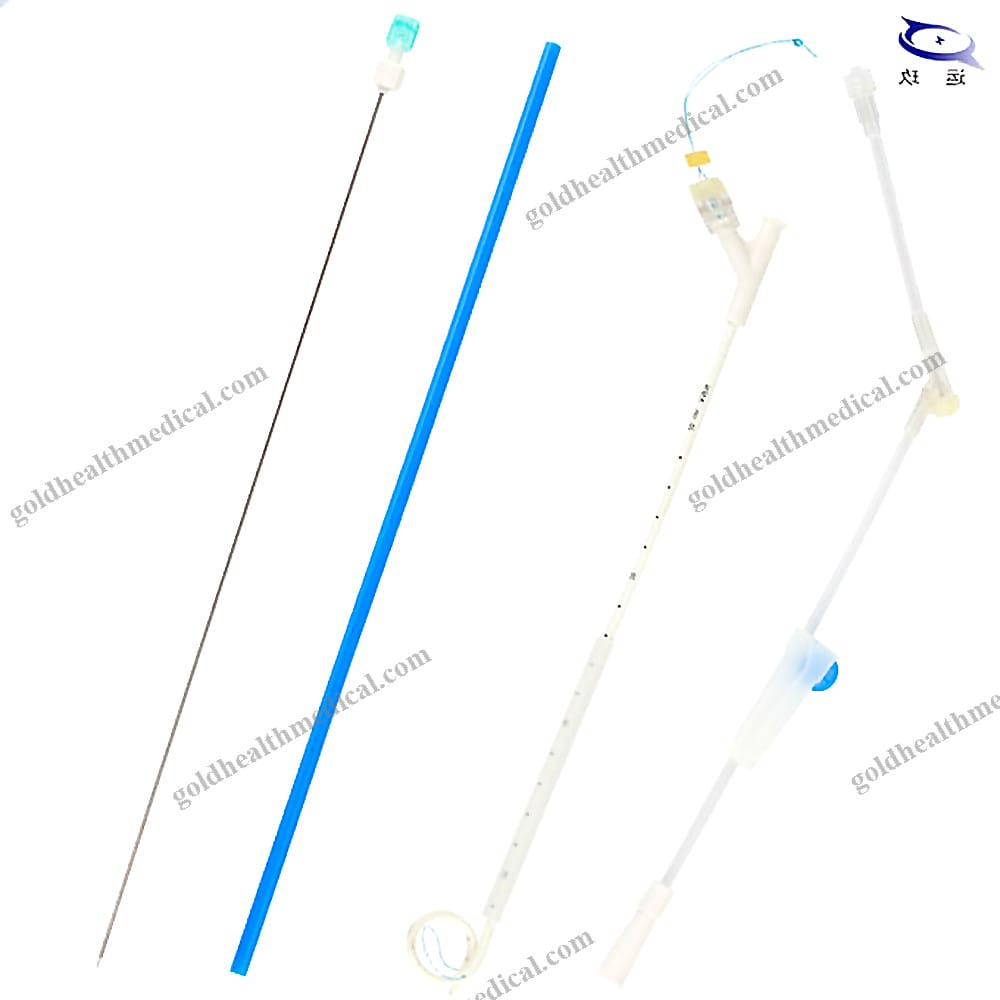 Dual Lumen Catheter Kit with Puncture Needle Pigtail Drainage